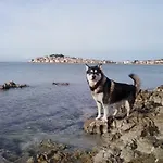 Lejlighed Huljev *