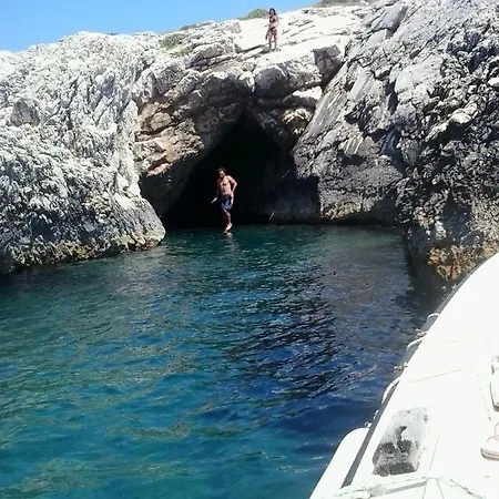 Huljev *